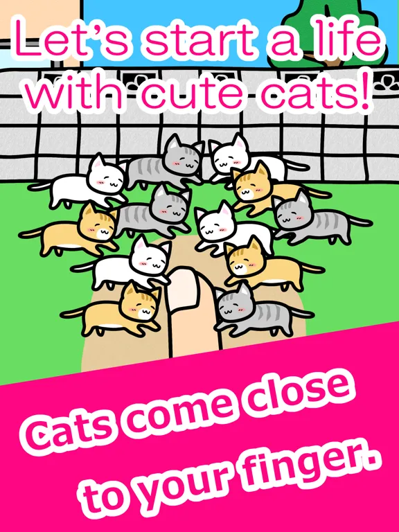 Play with Cats - relaxing game iPad 應用截圖