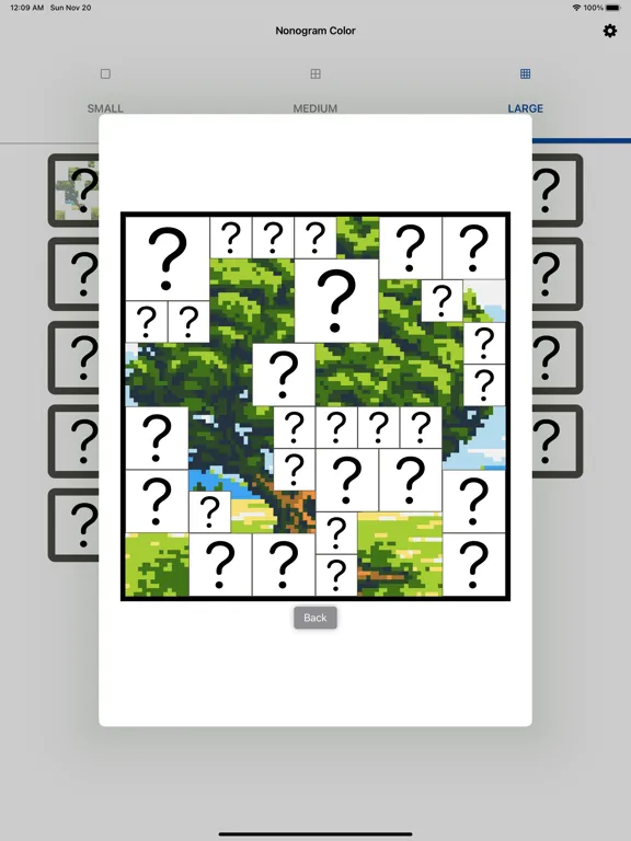 Nonogram Color - Picture cross iPad 应用截图