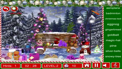 Hidden Objects:Christmas Fun سکرین شاٹس