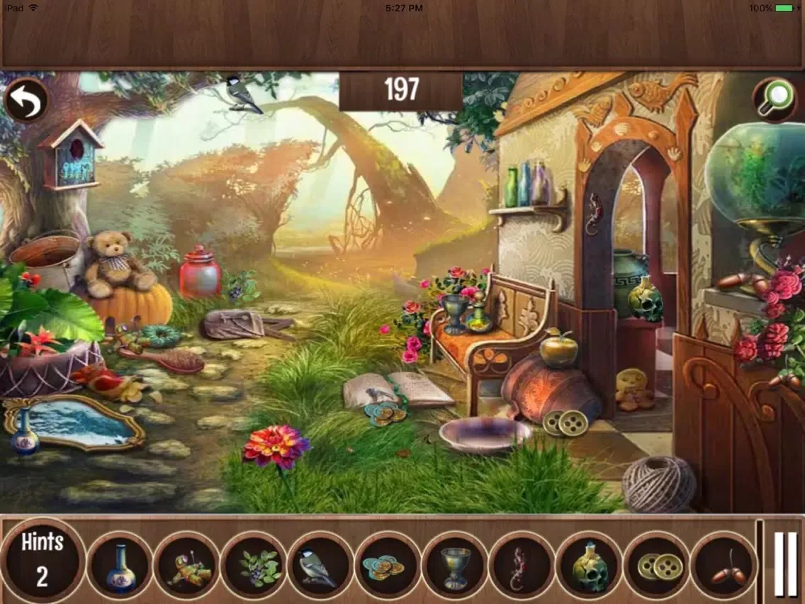 صور Free Hidden Objects: Heart of Jungle iPad 