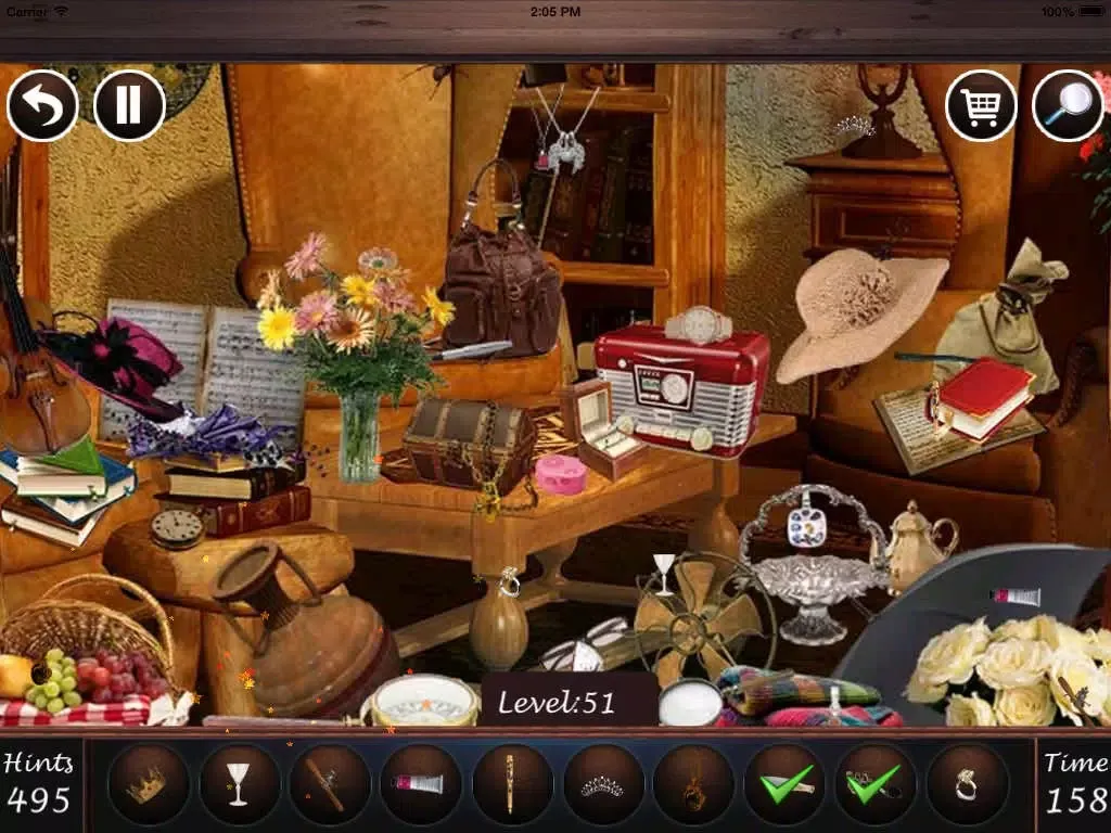 Tangkapan layar Hidden objects: The Spring Fair iPad 