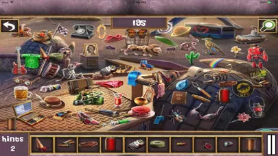 Hidden Objects:Hidden Mania 11应用截图