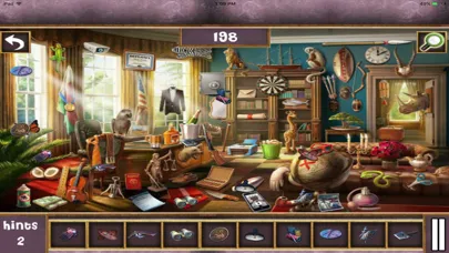Hidden Objects:Hidden Mania 11应用截图