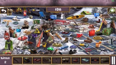 Скриншоты Hidden Objects:Hidden Mania 7