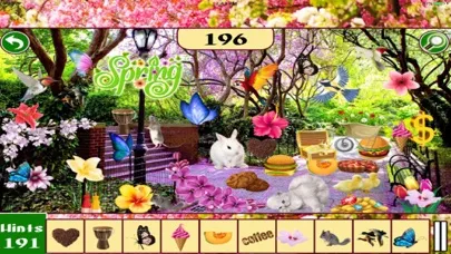 Hidden Objects: Spring Time Central Park New York应用截图