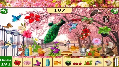 Hidden Objects: Spring Time Central Park New York应用截图