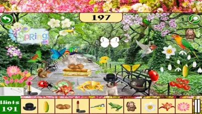 Hidden Objects: Spring Time Central Park New York应用截图