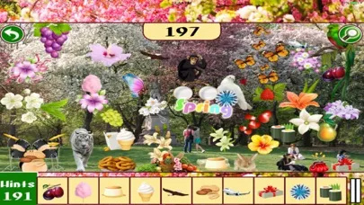 Hidden Objects: Spring Time Central Park New York应用截图