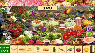Hidden Objects: Spring Time Central Park New York应用截图