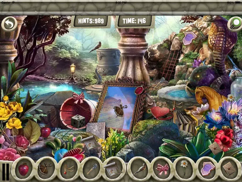 صور Hidden Objects Summer Days iPad 