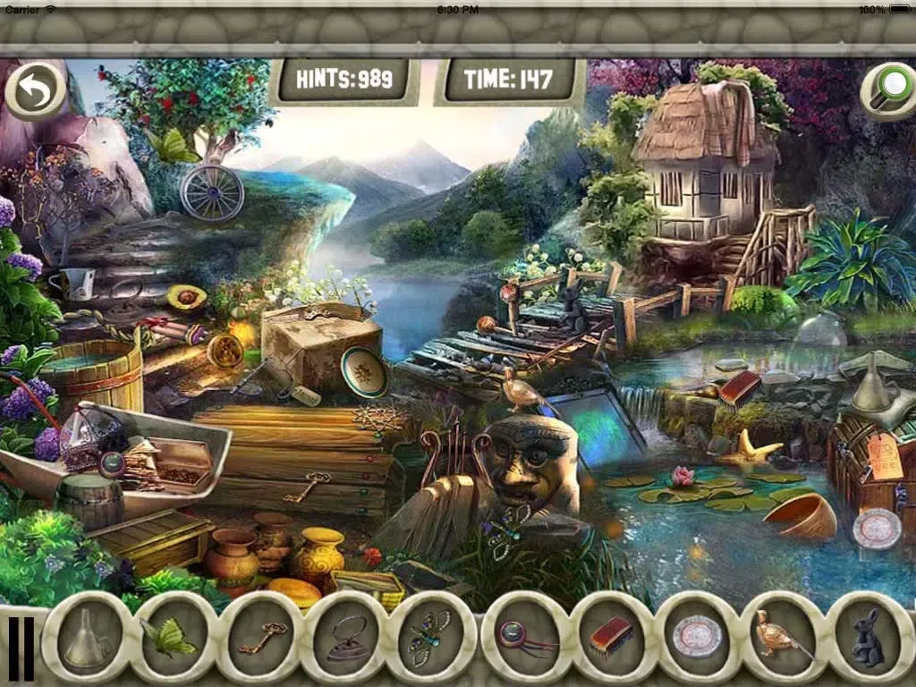 صور Hidden Objects Summer Days iPad 