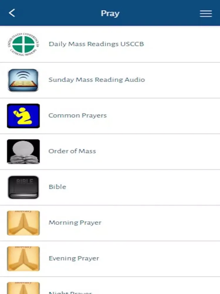 St. Vincent de Paul Rogers, AR iPad  Screenshots
