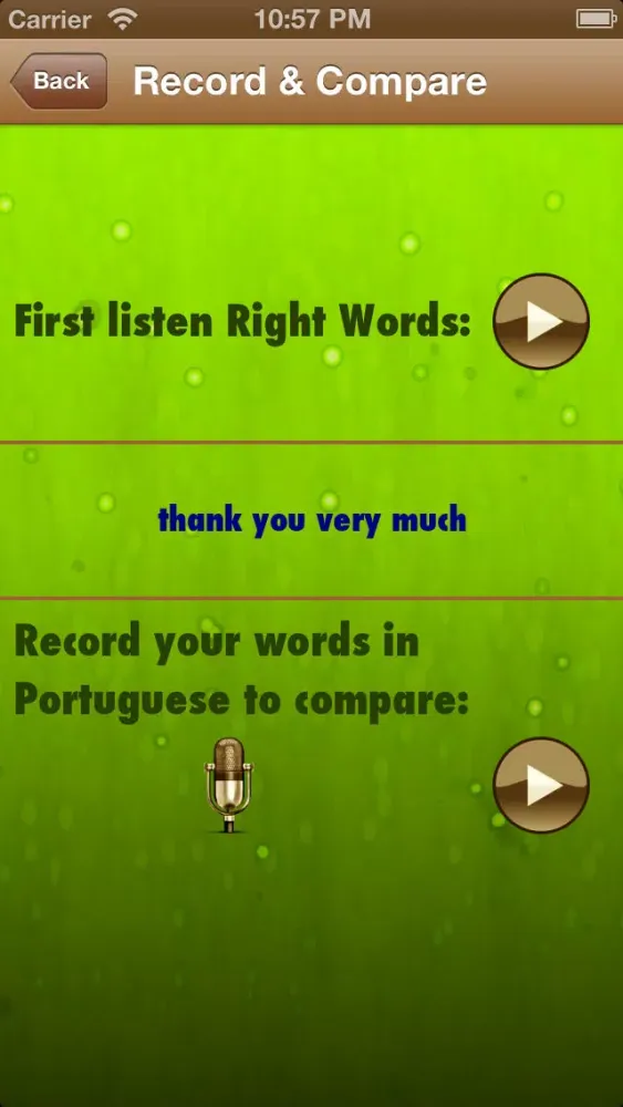 Learn Portuguese Phrases In Female Voice free Screenshots