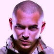 Rapperworld : Pitbull Edition Rapperworld : Pitbull Edition