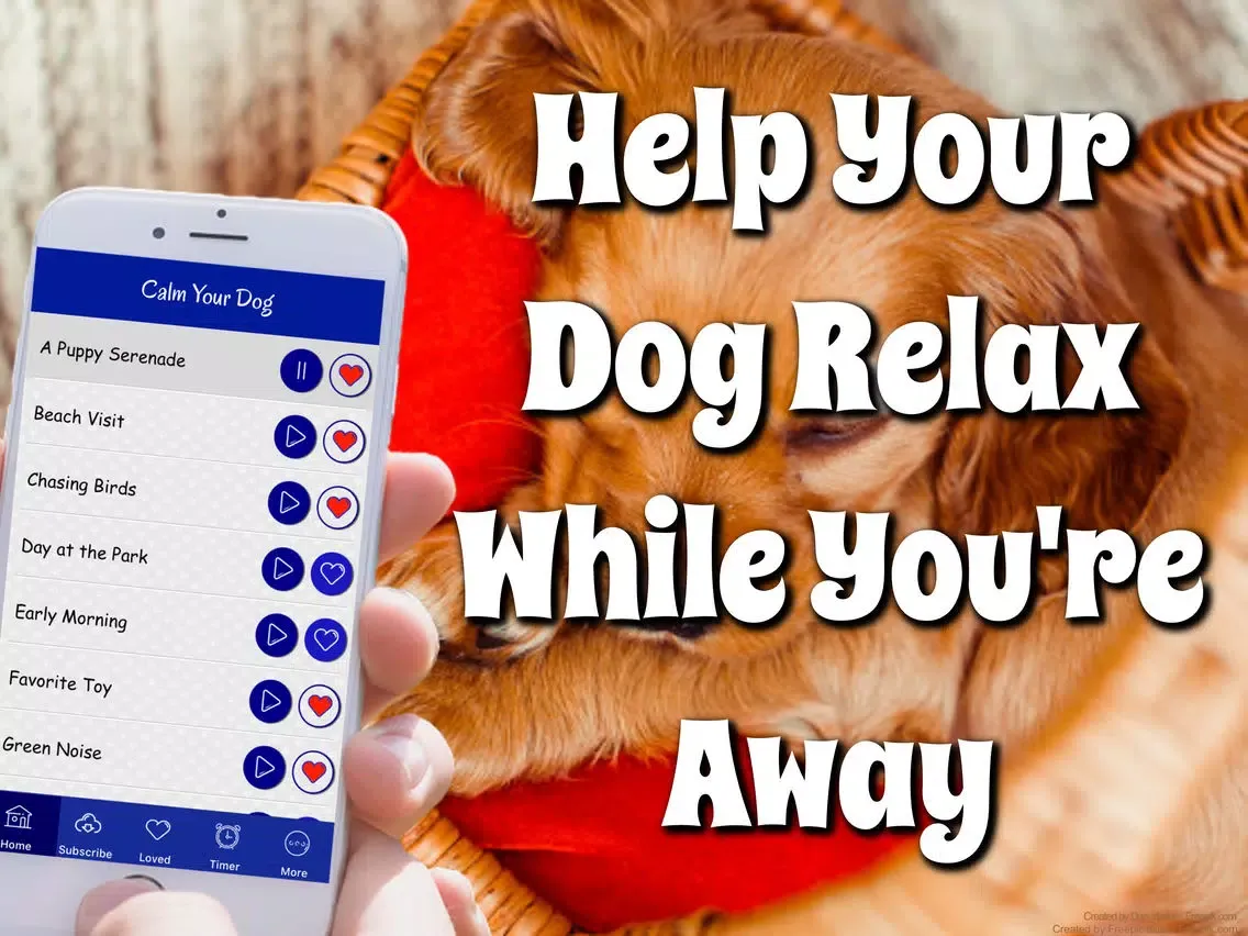 Zrzuty ekranu Calm Your Dog iPad 
