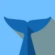 Flipper - Mirror Image Editor