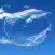 Bubbles AR/MR