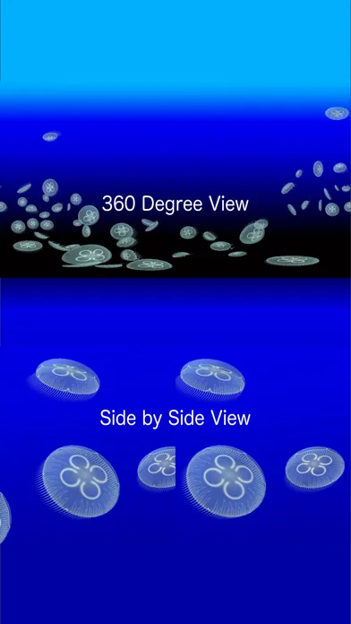 Jellyfish AR/VR स्क्रीनशॉट