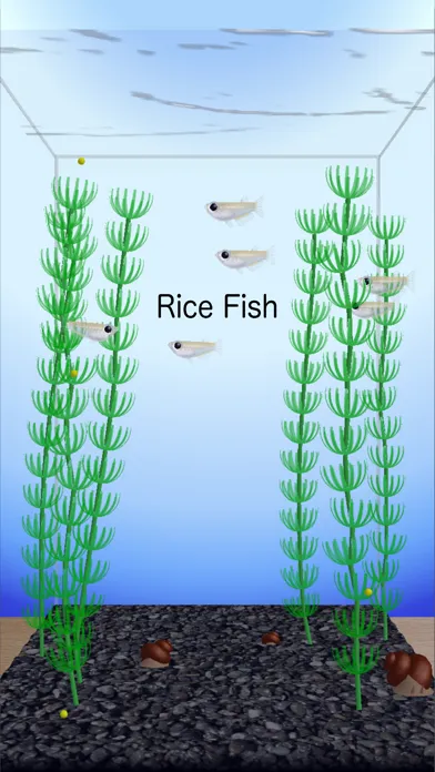 Rice Fish স্ক্রিনশট