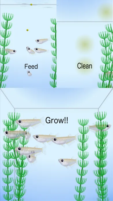 Rice Fish স্ক্রিনশট