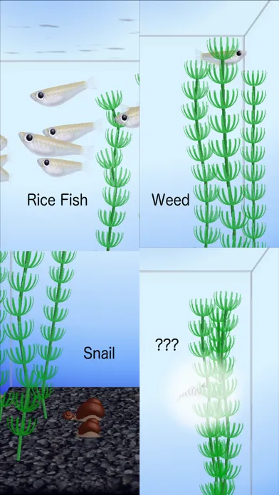 Rice Fish স্ক্রিনশট