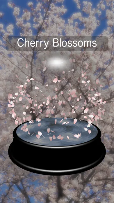 Snow Globe Maker AR/VR 스크린샷