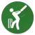 Cricket Scorer