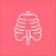 Anatomy Physiology quiz