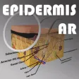 EpidermisAR EpidermisAR