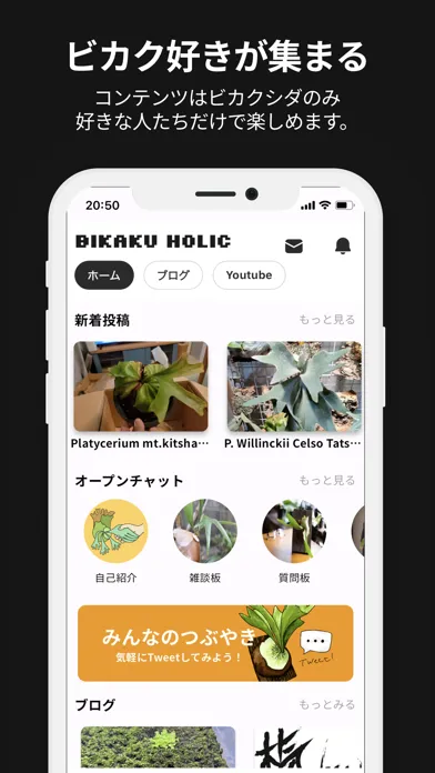 ภาพหน้าจอของ ビカクホリック