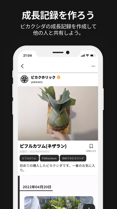 ภาพหน้าจอของ ビカクホリック