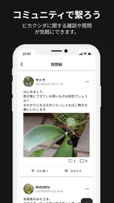 ภาพหน้าจอของ ビカクホリック