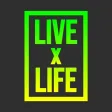 ライブ参戦記録 - LIVE x LIFE -