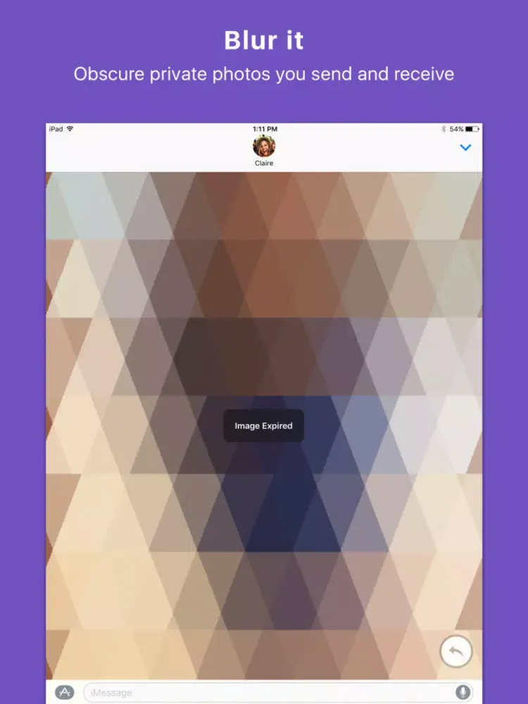 Blur - Share disappearing private photos iPad  سکرین شاٹس
