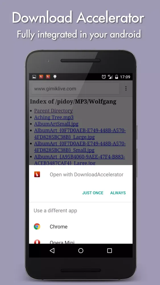 Tangkapan layar Download Accelerator
