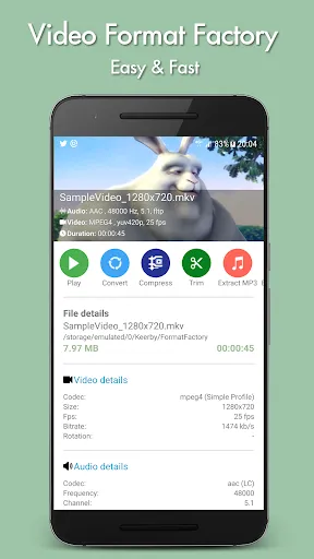 Video Format Factory स्क्रीनशॉट