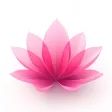 Kegel Pelvic Floor Exercises