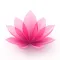 Kegel Pelvic Floor Exercises