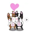 Animated Boston Terrier 1 Animated Boston Terrier 1