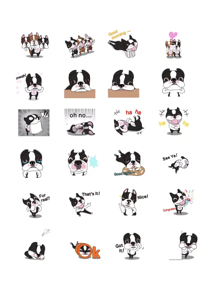 Animated Boston Terrier 1 iPad  Screenshots