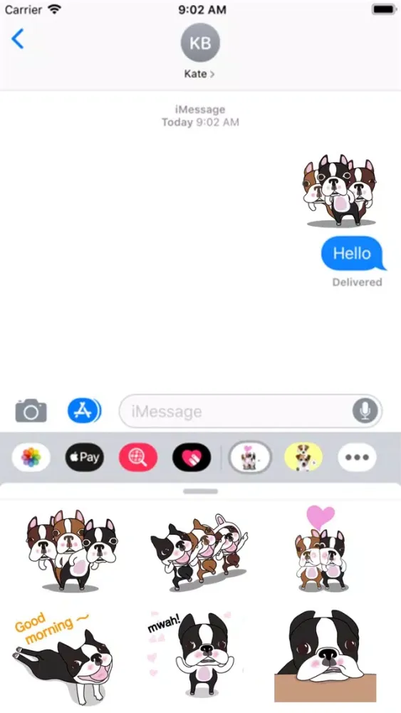 Animated Boston Terrier 1 Screenshots