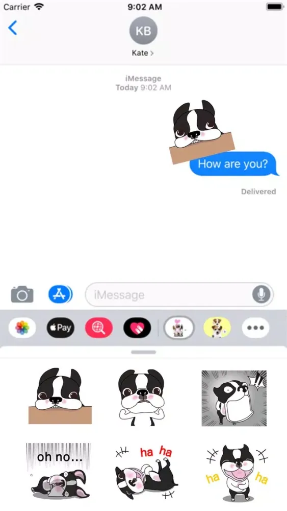 Animated Boston Terrier 1 Screenshots