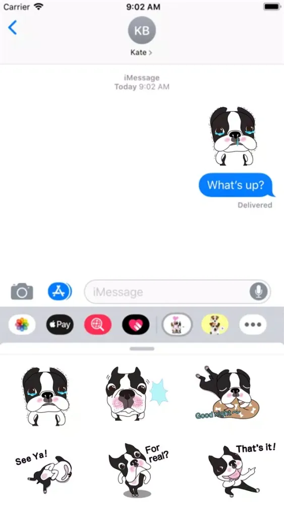 Animated Boston Terrier 1 Screenshots