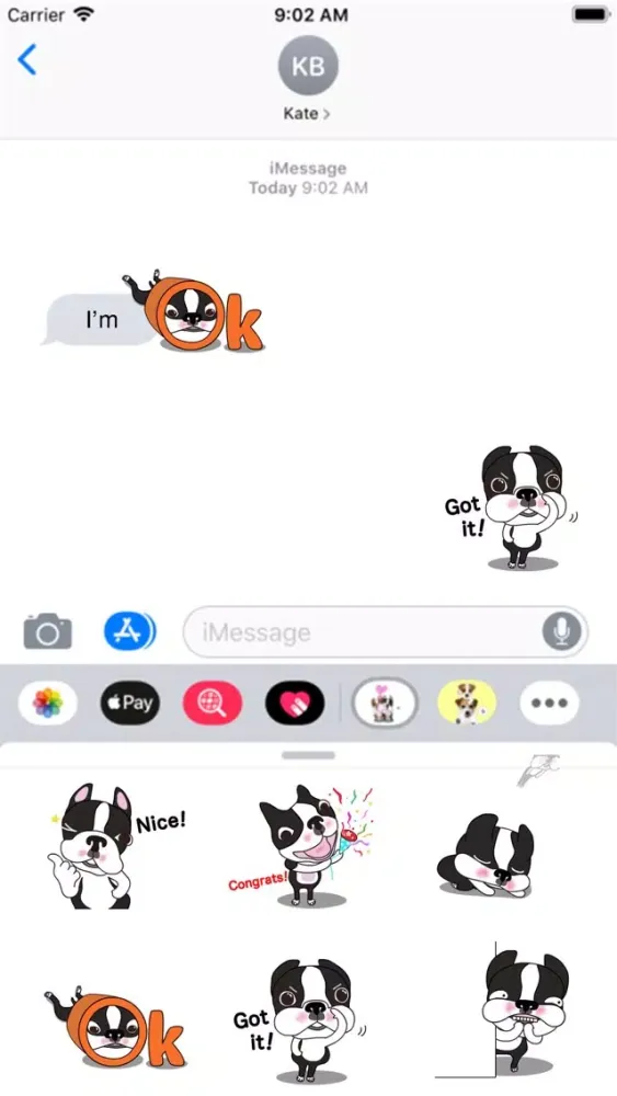 Animated Boston Terrier 1 Screenshots