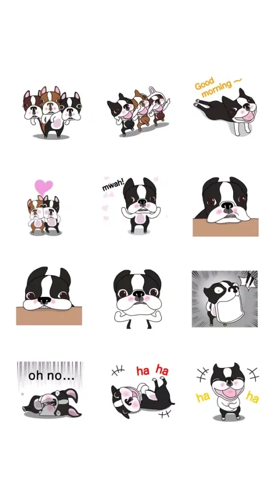 Animated Boston Terrier 1 Screenshots