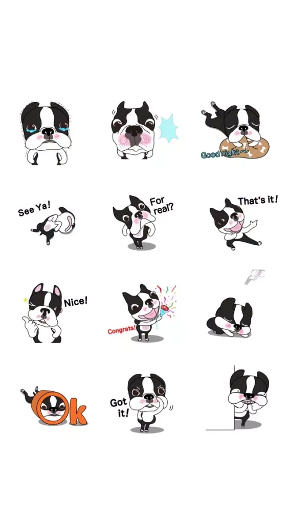 Animated Boston Terrier 1 Screenshots
