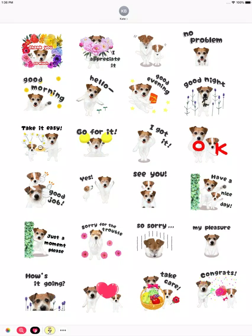 Jack Russell Animation 2 iPad  스크린샷