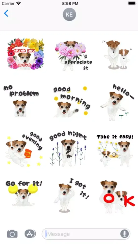 Screenshot di Jack Russell Animation 2