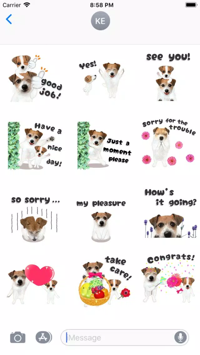Jack Russell Animation 2 스크린샷