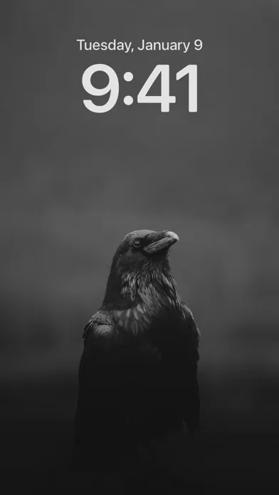 4K Black Wallpapers应用截图